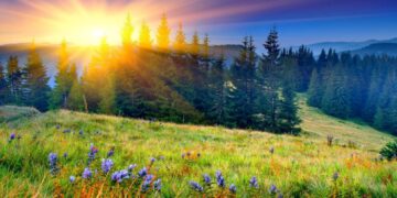 ସବୁତ ସୁନ୍ଦର ଲାଗେ