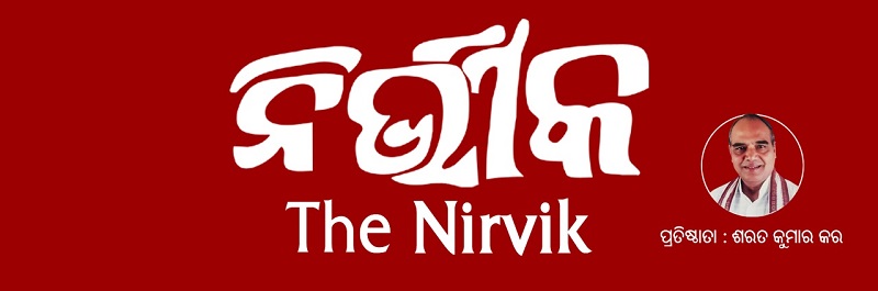 The Nirvik