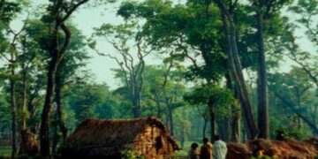 Indigenous communities in 2036 Odisha