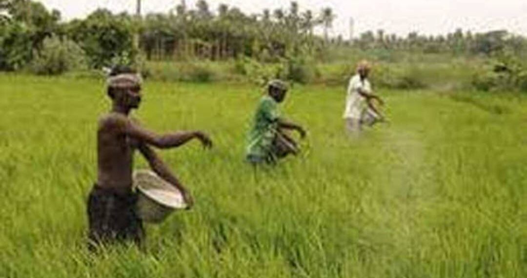 ଚାଷୀର ସ୍ୱାଭିମାନ ରକ୍ଷା ଏକ ସାମାଜିକ ଦାୟିତ୍ୱବୋଧ ନୁହେଁ କି?