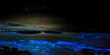 ବିନ୍ଦୁଏ ଇସ୍ତାହାର