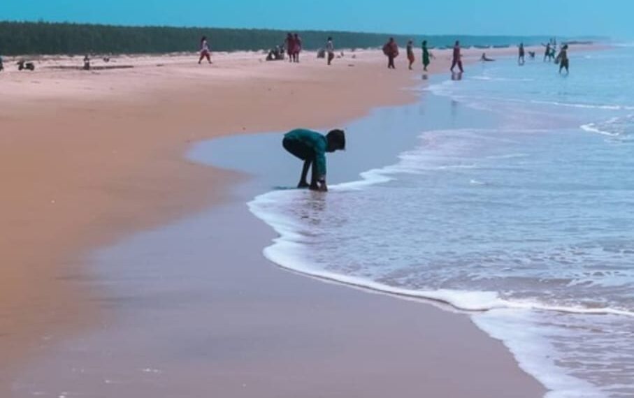 ପ୍ରକୃତିର ଭେଟି