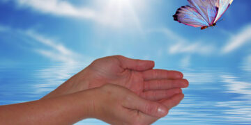 ନିଖୋଜ ପ୍ରଜାପତି