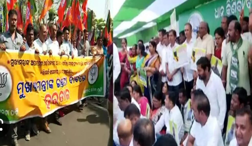 ଚାଉଳ ବନାମ୍ ଆଇନ ଶୃଙ୍ଖଳା