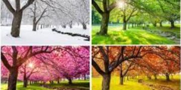 ଋତୁ ଅଋତୁ