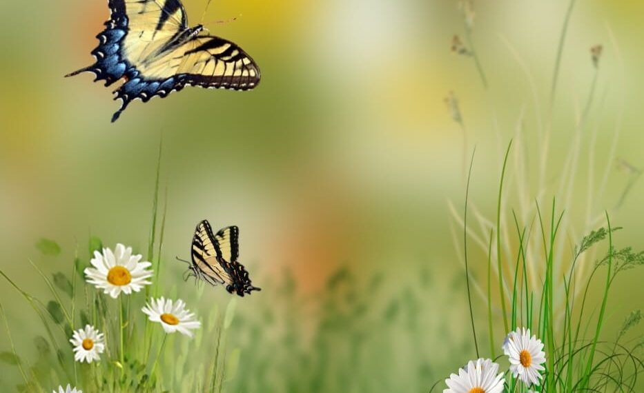 ଜାଣିଛ ତୁମେ??