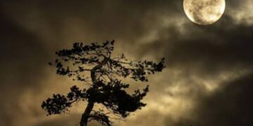 ରାତିଦିନ ଜଳୁଥାଏ