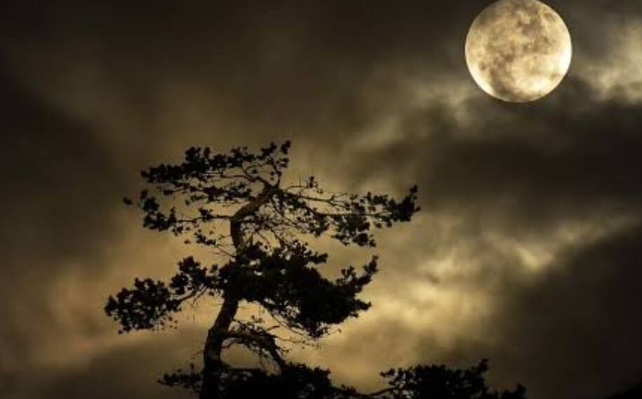 ରାତିଦିନ ଜଳୁଥାଏ