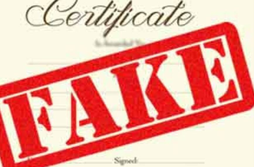 କେତେ ଲମ୍ବା ଏ ନକଲି ଚେର…