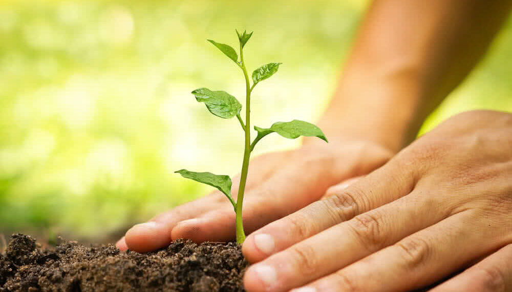 ଜୀବନ୍ତ ଦେବତା