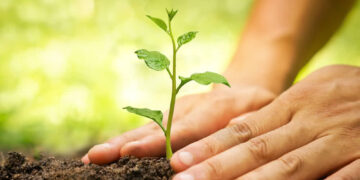 ଜୀବନ୍ତ ଦେବତା