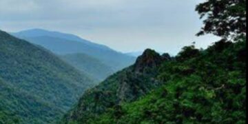 ମୋ ଓଡ଼ିଶା