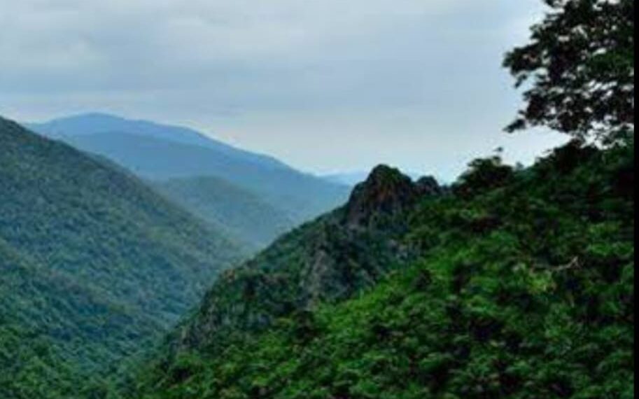 ମୋ ଓଡ଼ିଶା