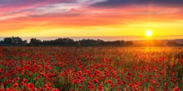 ଅପେକ୍ଷା ଗୋଟେ ସମୟକୁ