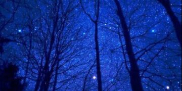 ଶିଶିର ଆକାଶେ