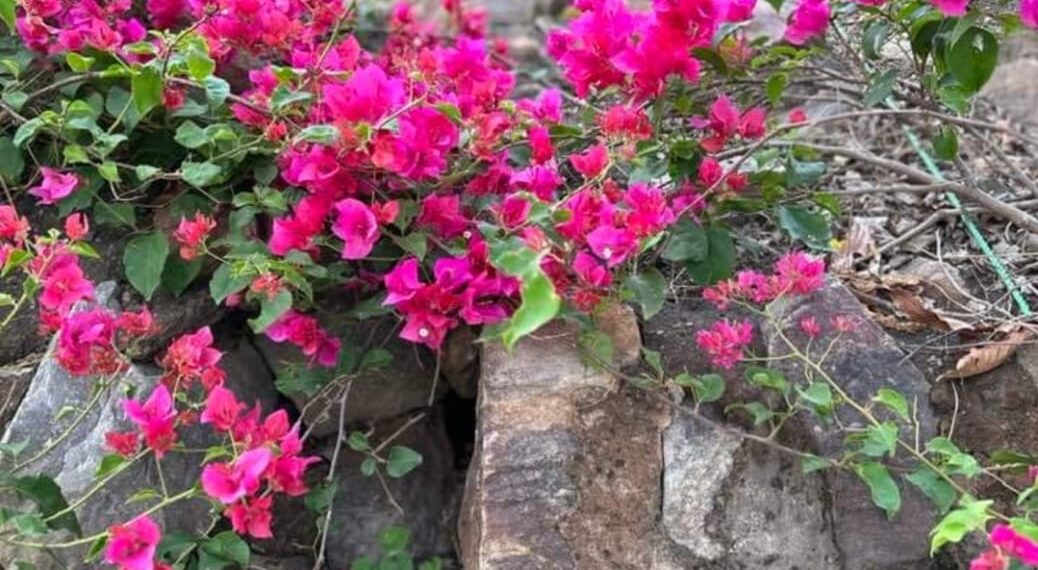 A Strand of Light and Hope!