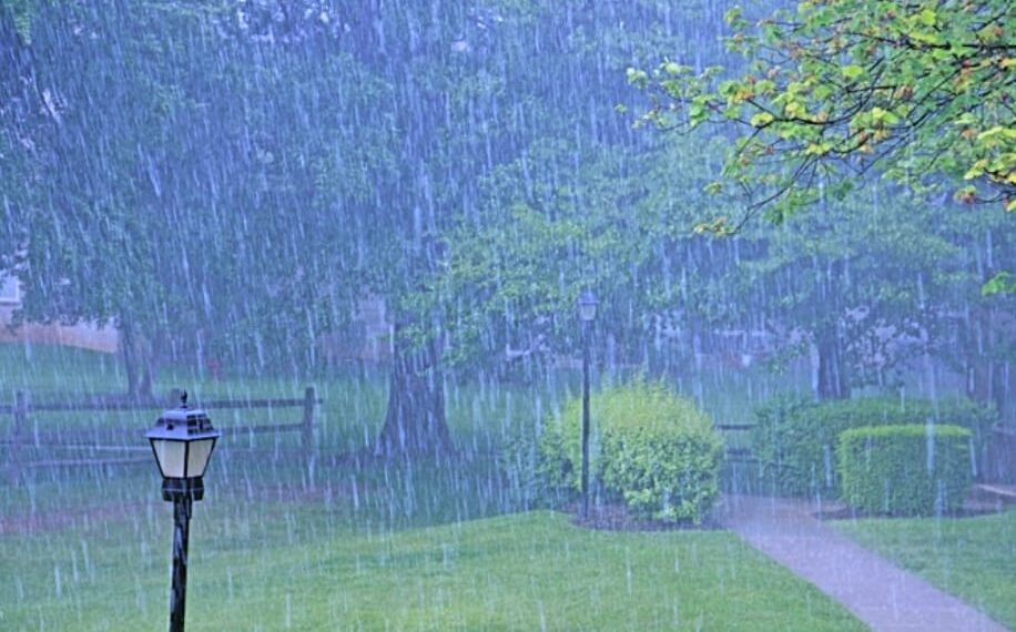 ମେଘ ସହ ଦିନେ