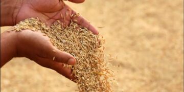 ଆରମ୍ଭ ହେବ କି ଏମ୍ ଏସ୍ ପି ଲଢ଼େଇ…?