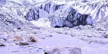 ଟୋପାଏ ଗଙ୍ଗୋତ୍ରୀ ମୁହିଁ