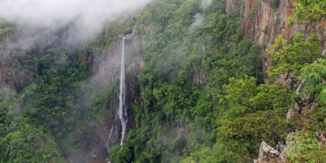 ଅସୁରକ୍ଷିତ ଅଭୟାରଣ୍ୟ …