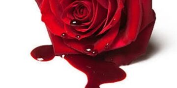 ନୀଳାଦ୍ରୀ ବିଜେ