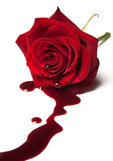 ନୀଳାଦ୍ରୀ ବିଜେ