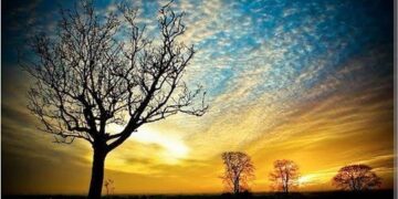 ସଖୀ ଗୋ….