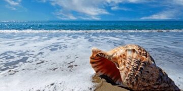 ସାତ ସାଗରର ଶୋଷ ମୋ ମନରେ