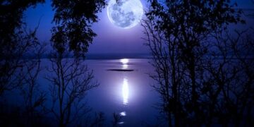 Indian Friends and their Morals