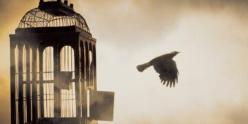 ଅଚିହ୍ନା ଚଢ଼େଇ