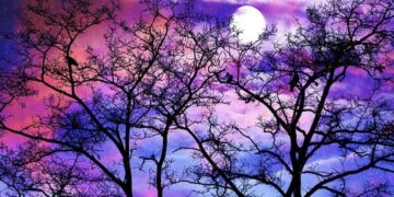 The Moon Child The Moon Child