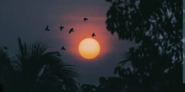 ବାହୁଡ଼ି ଯିବାର ବେଳ