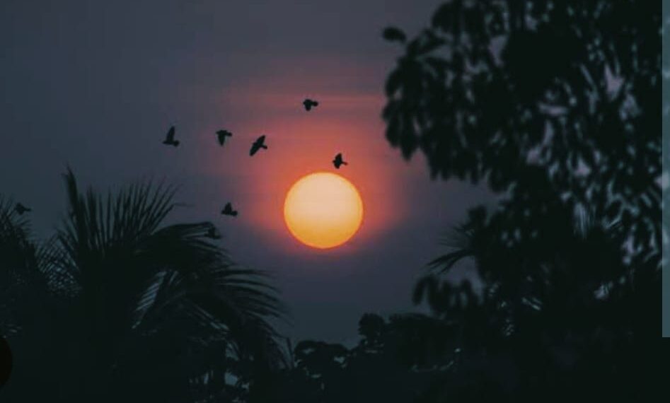 ବାହୁଡ଼ି ଯିବାର ବେଳ