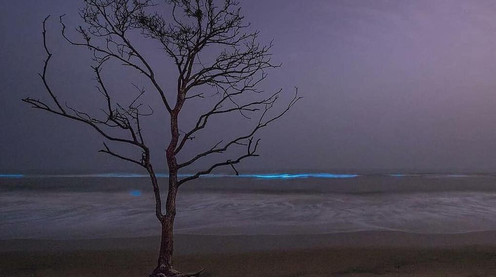 ସିଏ ଆଉ ଏଠି ନାହିଁ