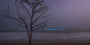 ସିଏ ଆଉ ଏଠି ନାହିଁ