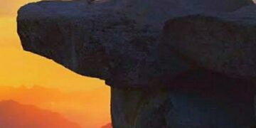 Vipul’s Voice……Life is the Greatest Teacher