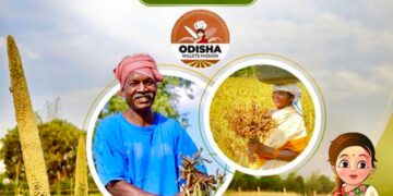 ମାଣ୍ଡିଆ