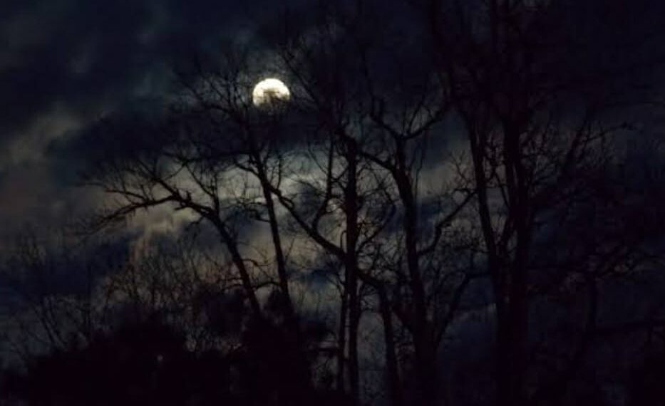 ଜହ୍ନରାତି