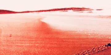 The Last Song of the Year