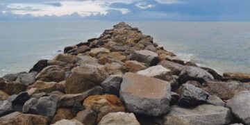 ଜୀବନ ର ଚଲାପଥ