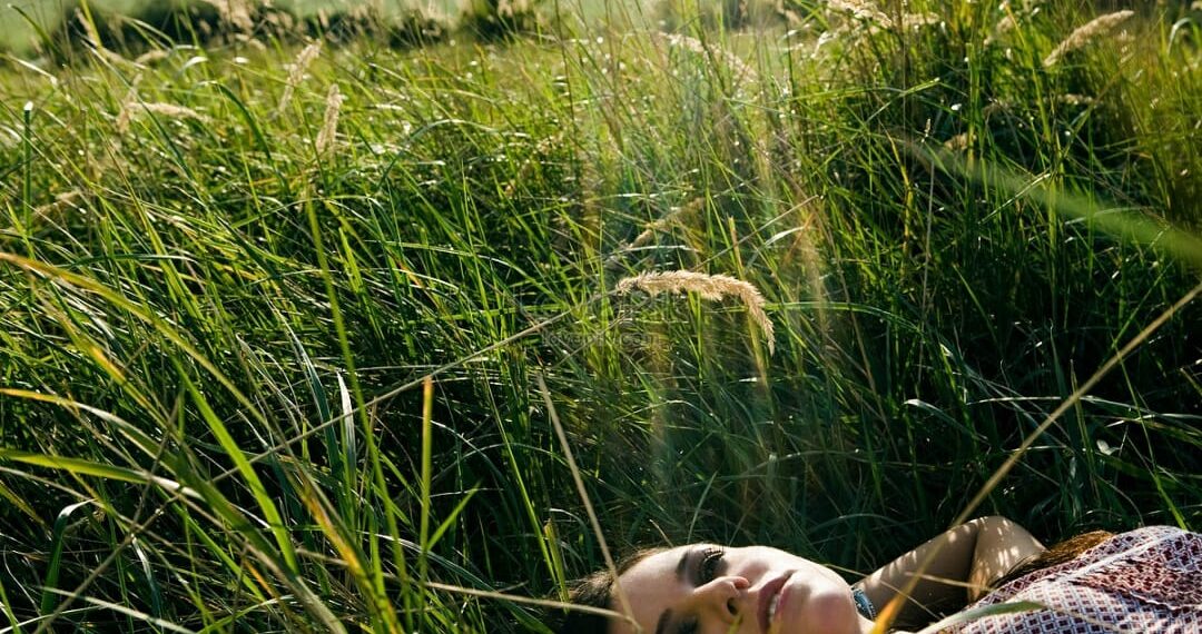 Voice  of Wilderness