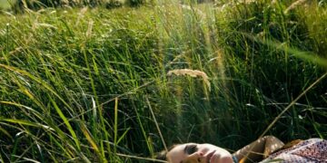 Voice  of Wilderness