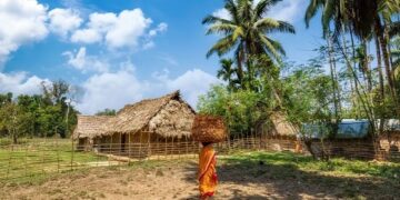 ସାରି ସାରି କେତେ ତାଳ ଓ ନଡ଼ିଆ