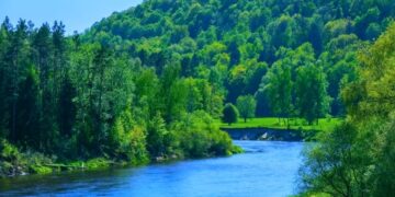 ହଂସ ଧ୍ବନୀର ନଈ