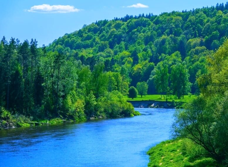 ହଂସ ଧ୍ବନୀର ନଈ