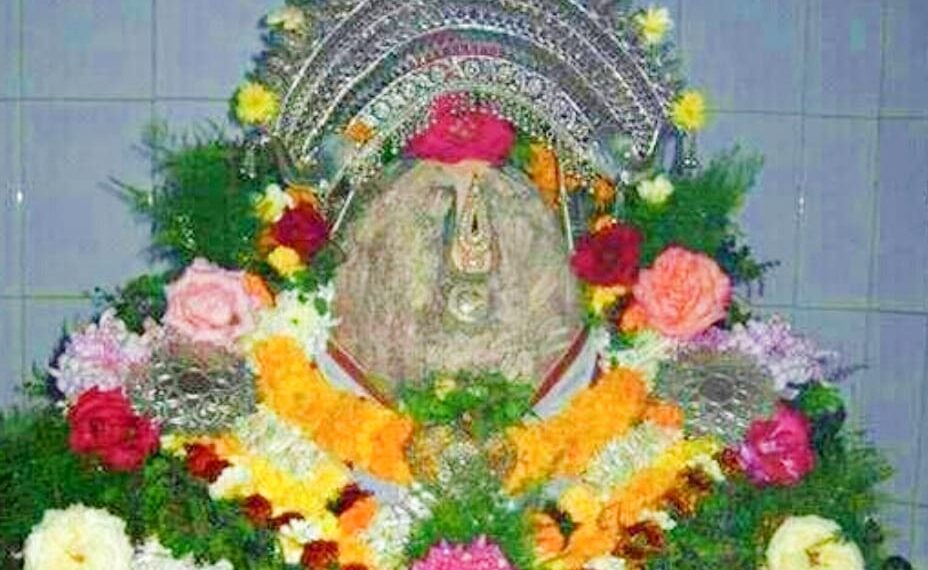 ଓଳାଶୁଣୀ ର ସନ୍ଥ ଅରକ୍ଷିତ