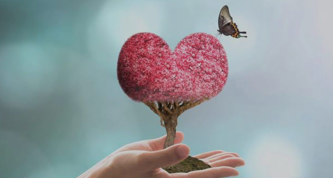 ଧାନ ବିଲରେ ସୂର୍ଯ୍ୟୋଦୟ