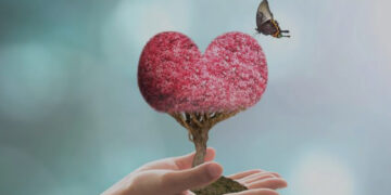 ଧାନ ବିଲରେ ସୂର୍ଯ୍ୟୋଦୟ