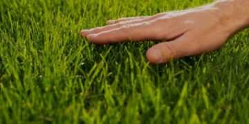 ସମୟ ତ ଦିନେ ପୋଛି ଦେଇଯିବ