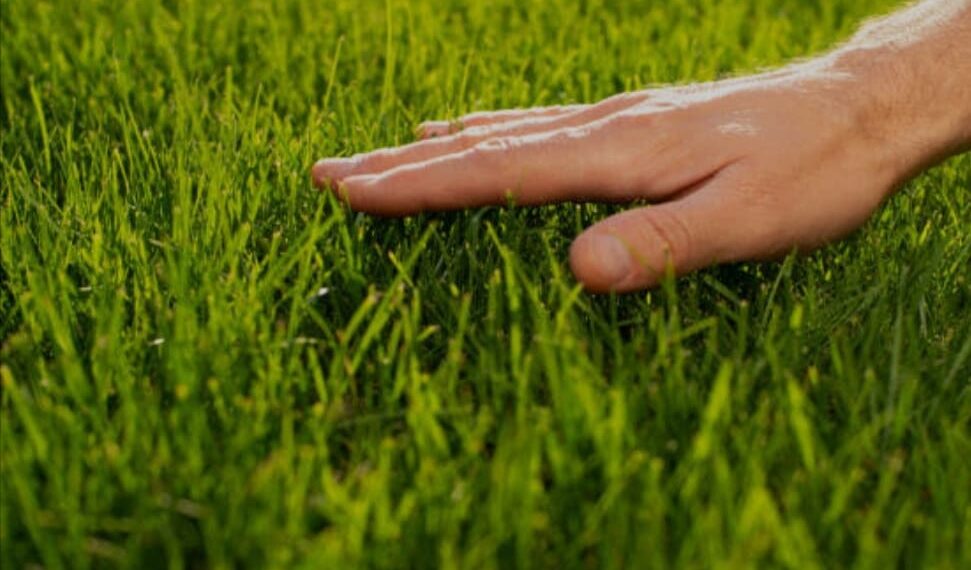 ସମୟ ତ ଦିନେ ପୋଛି ଦେଇଯିବ